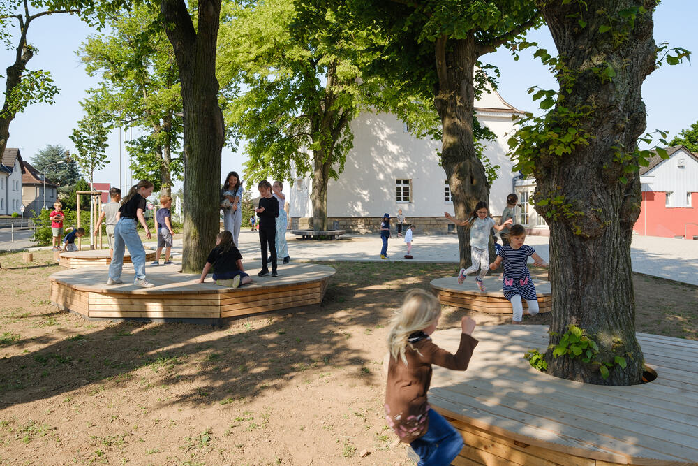 Alter Baumbestand mit Spielpodesten